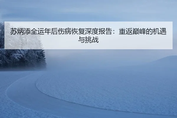 su-bing-tian-quan-yun-nian-hou-shang-bing-hui-fu-shen-du-bao-gao-chong-fan-dian-feng-de-ji-yu-yu-tiao-zhan-2-239.jpg