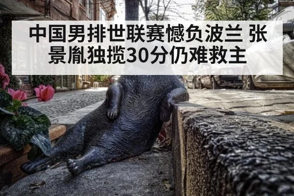 中国男排世联赛憾负波兰 张景胤独揽30分仍难救主